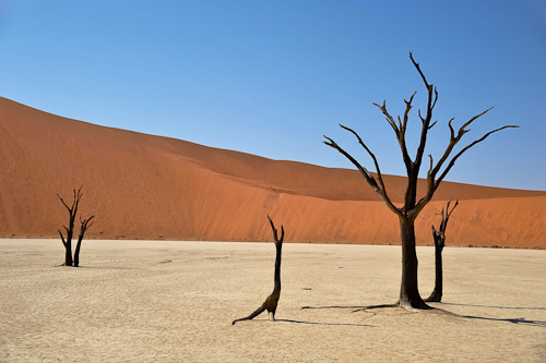 Deadvlei